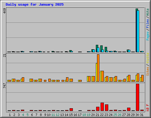 Daily usage for January 2025
