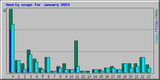 Hourly usage for January 2024