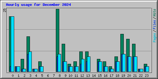 Hourly usage for December 2024