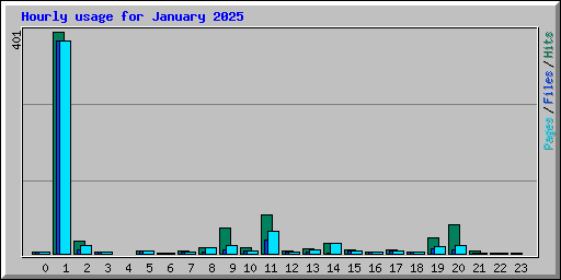 Hourly usage for January 2025