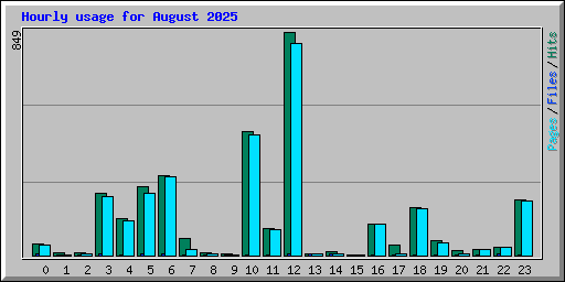 Hourly usage for August 2025