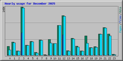 Hourly usage for December 2025