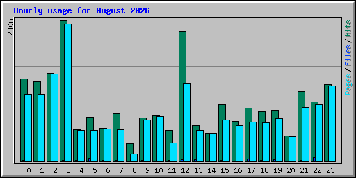 Hourly usage for August 2026
