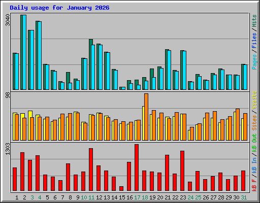 Daily usage for January 2026