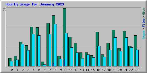 Hourly usage for January 2023
