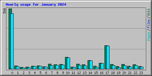 Hourly usage for January 2024