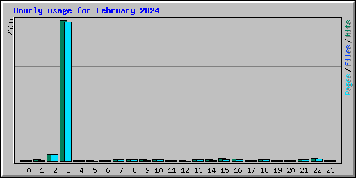 Hourly usage for February 2024