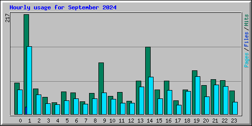 Hourly usage for September 2024