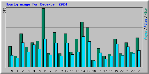 Hourly usage for December 2024