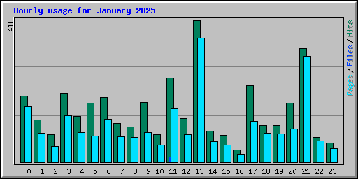 Hourly usage for January 2025