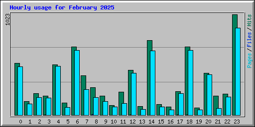Hourly usage for February 2025