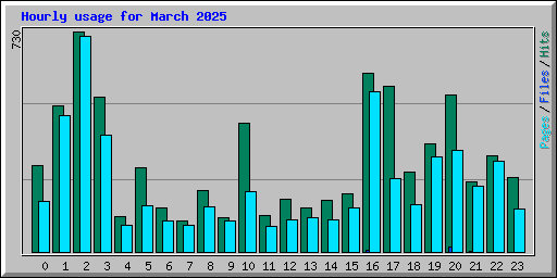 Hourly usage for March 2025
