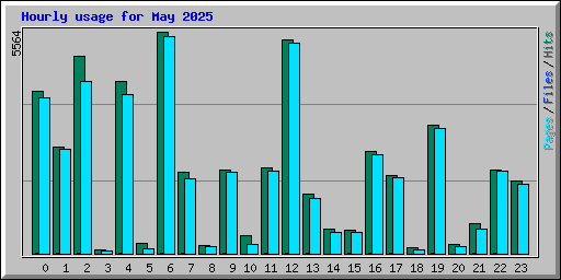 Hourly usage for May 2025