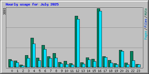 Hourly usage for July 2025