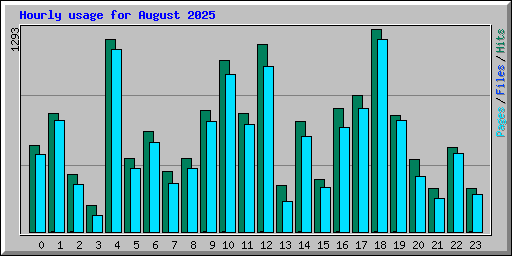 Hourly usage for August 2025