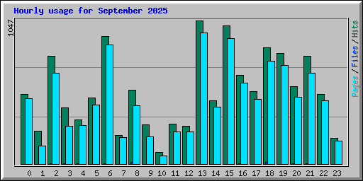 Hourly usage for September 2025