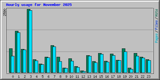 Hourly usage for November 2025