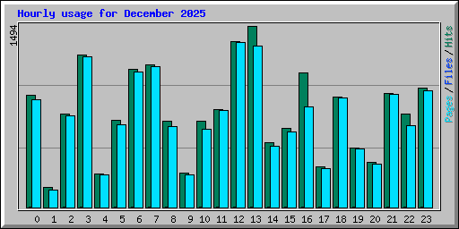 Hourly usage for December 2025