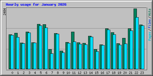 Hourly usage for January 2026