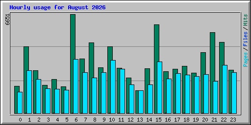 Hourly usage for August 2026